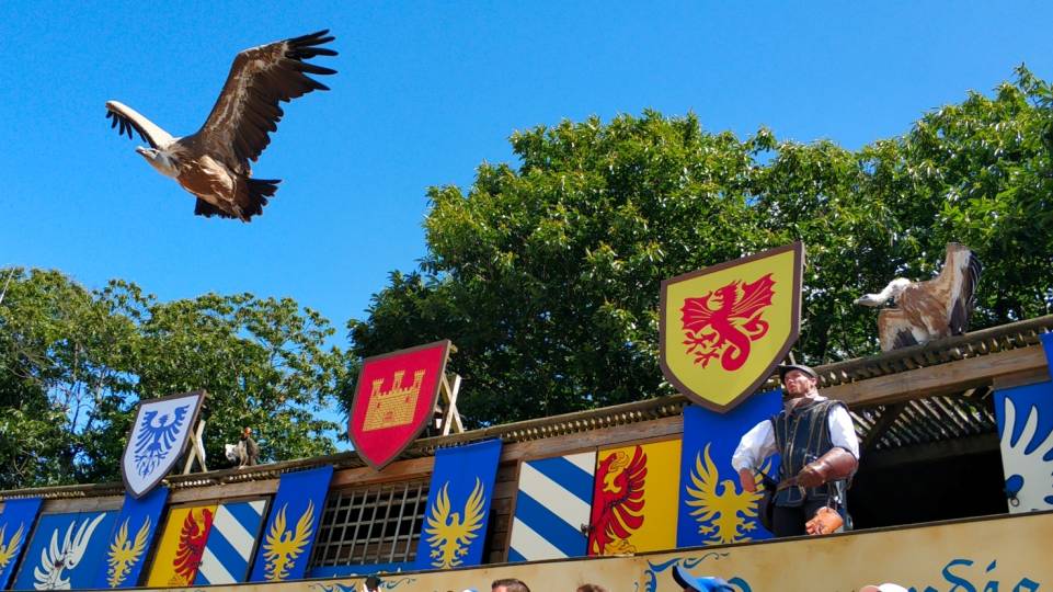 Grand Parc du Puy du Fou ®