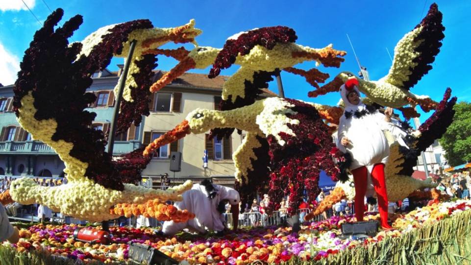 Fête des Dahlias à Sélestat