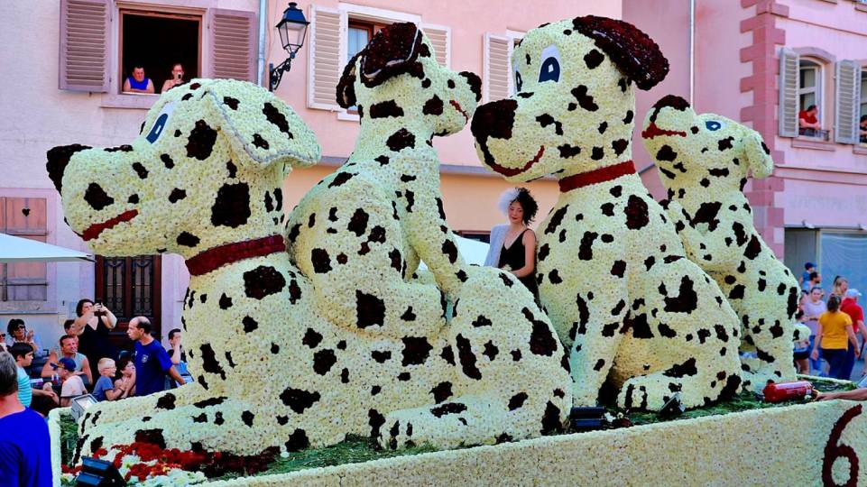 Fête des Dahlias à Sélestat