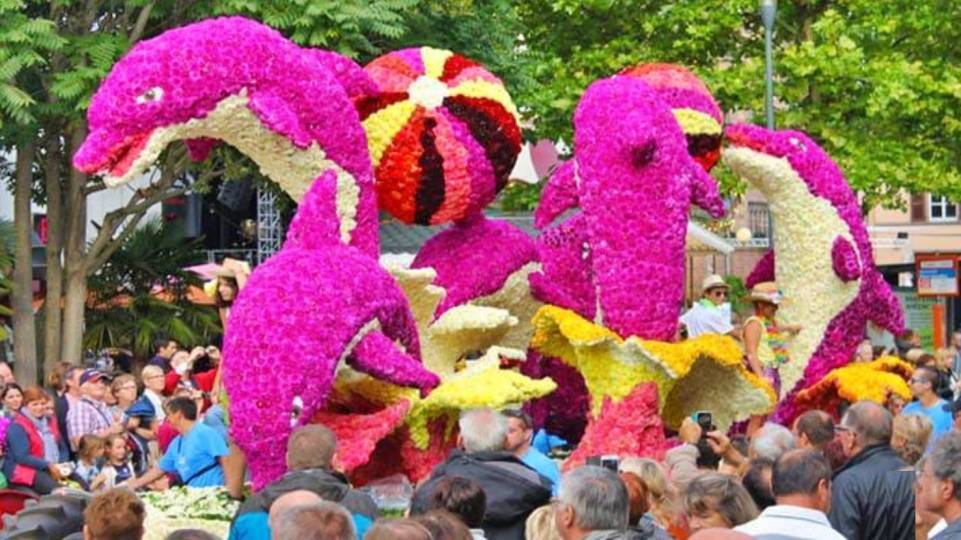 Fête des Dahlias à Sélestat