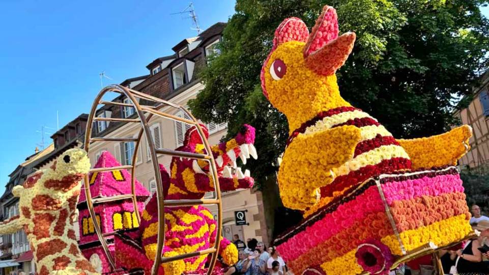 Fête des Dahlias à Sélestat