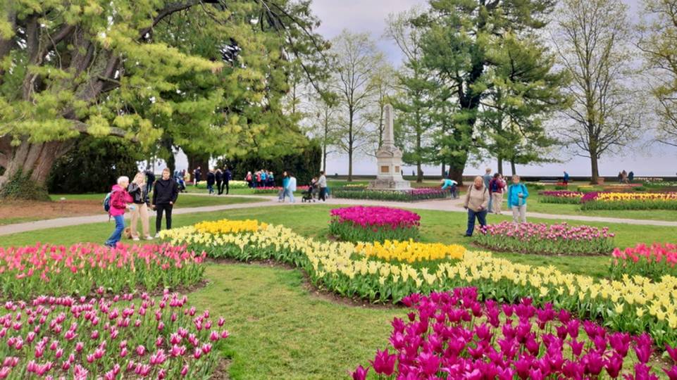 Fête de la tulipe à Morges
