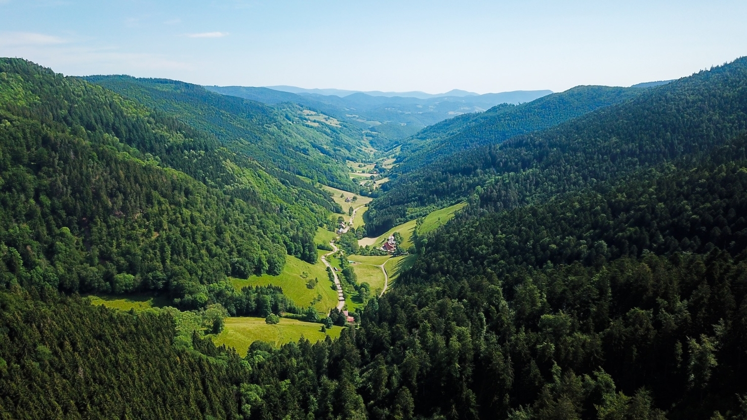 L'Alsace par les Routes des Vins & des Crêtes