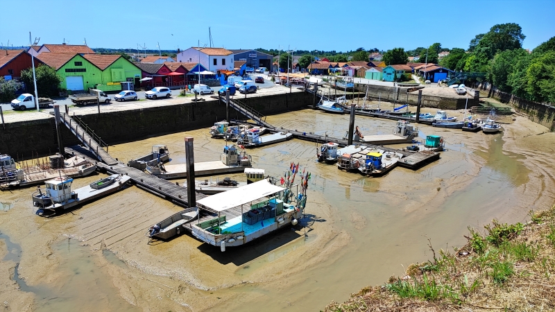 Le port ostréicole, vu depuis la Citadelle du Château-d’Oléron