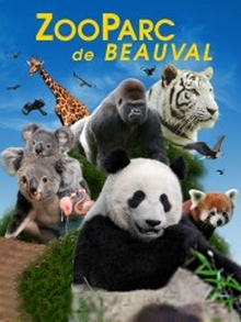 Voyage en autocar au ZooParc de Beauval