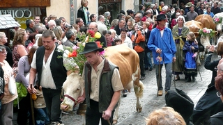 Journée Retour des Alpages à Annecy en autocar